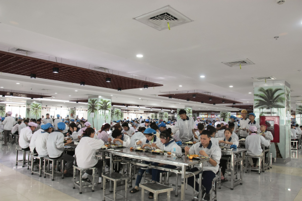 Công ty suất ăn công nghiệp: Quản lý dinh dưỡng và sức khỏe